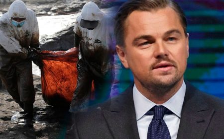 Leonardo DiCaprio se pronunció sobre el derrame de petróleo en la costa peruana