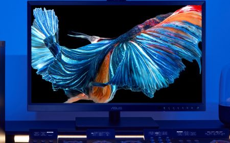 ASUS anuncia la disponibilidad en julio del monitor ProArt OLED PA32DC