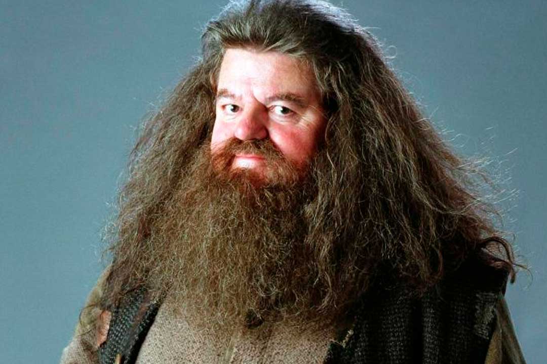 Robbie Coltrane 