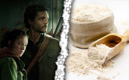 The Last of Us: Fan teoriza que la pandemia se dio por harina contaminada