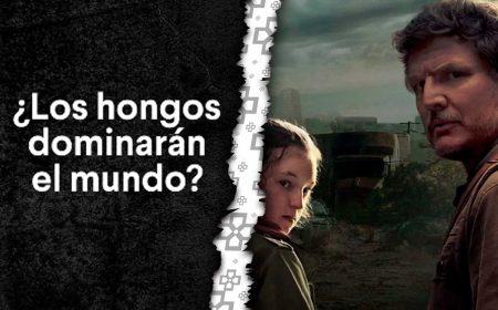 Desinfectante peruano se declara fan The Last of Us usándolo en su comercial