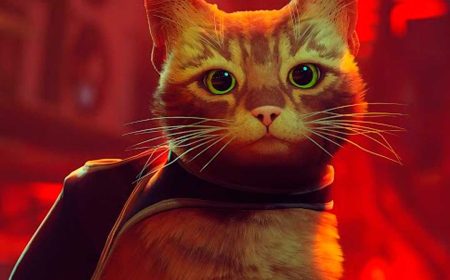 Stray, el juego del ‘gatito’, apunta a un lanzamiento en Xbox