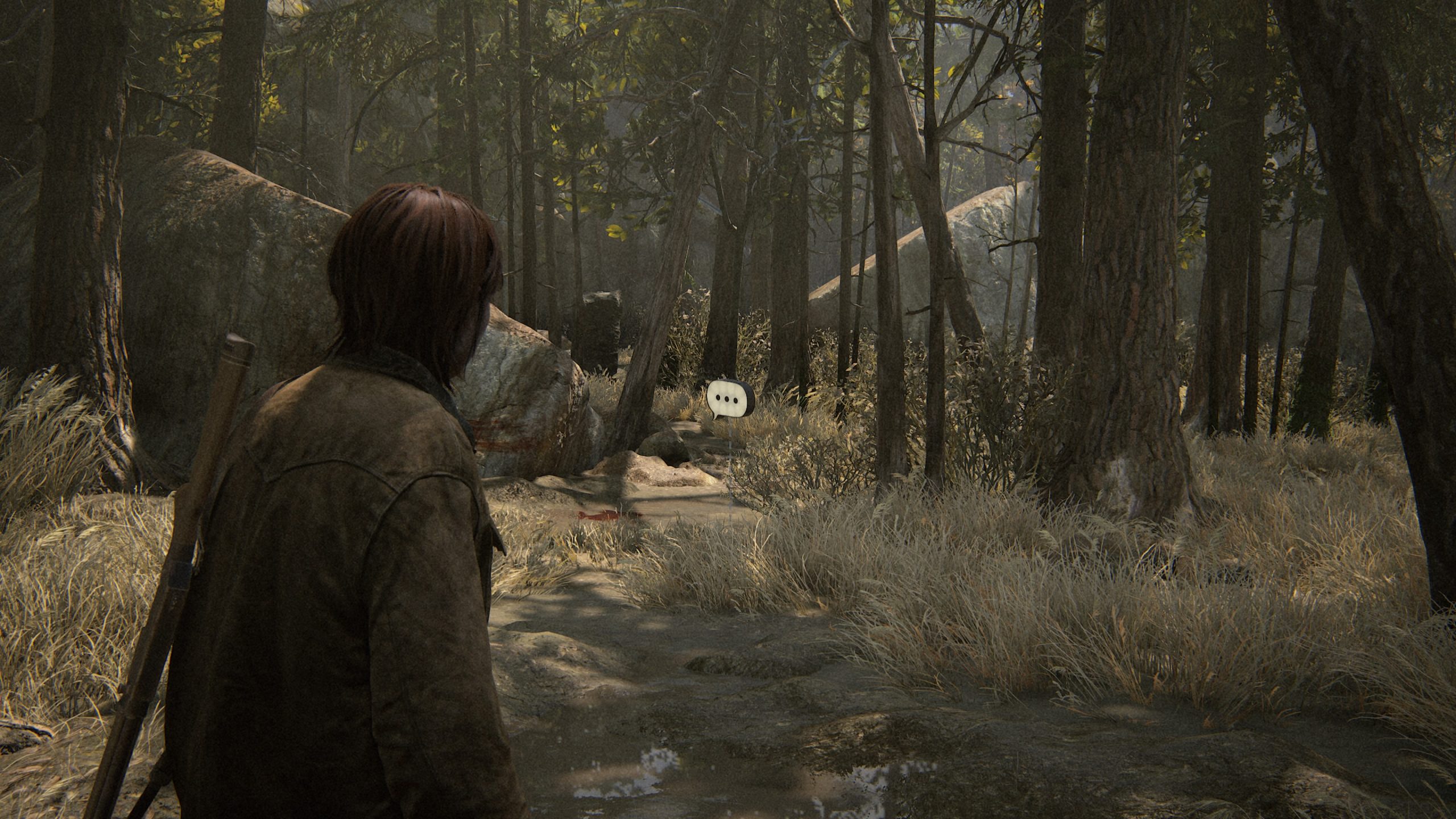 The Last of Us Part 2 Remastered