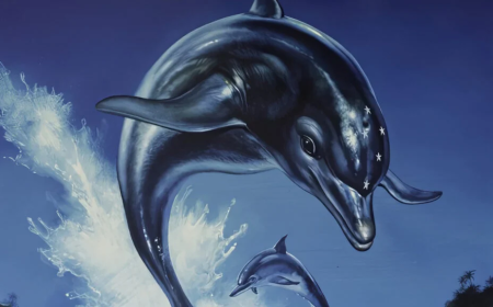 Ecco the Dolphin Complete reúne los clásicos y suma un nuevo juego tras más de 30 años